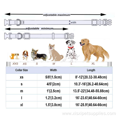 Personalized Design Strong Pet Dog Collar And Leash